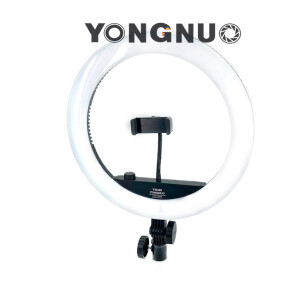 Свет (питание от сети) 