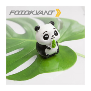 Новинки - Для домашней студии