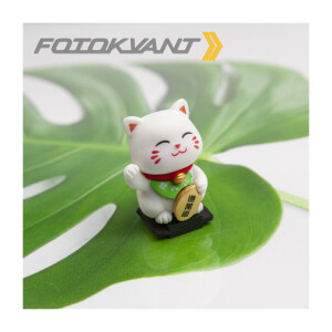 Новинки - Для домашней студии