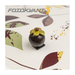 Новинки - Для домашней студии